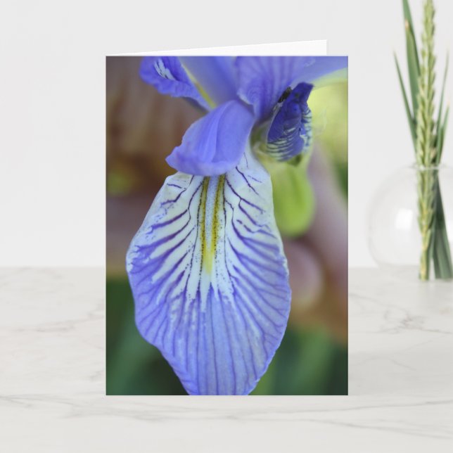 Carte de voeux Wild Iris (Devant)