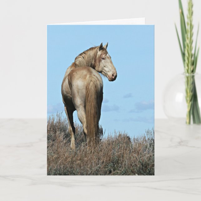 Carte de voeux Wild Oregon Mustang Stallion (Devant)