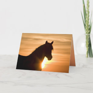 Carte de voeux Wild Silhouette Wild Horse