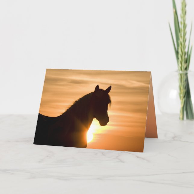 Carte de voeux Wild Silhouette Wild Horse (Devant)