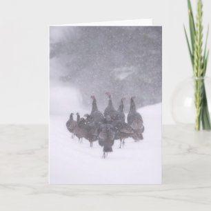 Carte de voeux Wild Turkey
