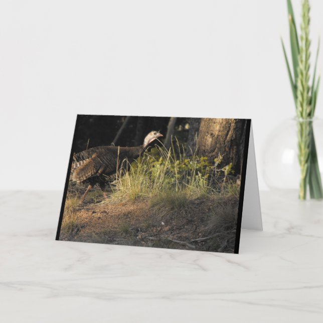 Carte de voeux Wild Turkey (Devant)