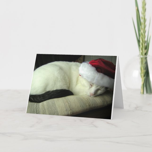 Carte de voeux WiLSoN SOLSTiCE (Devant)
