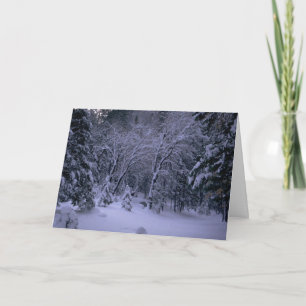 Carte de voeux Winter Wonderland