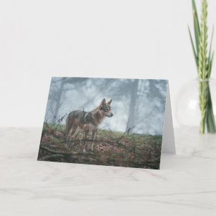 Carte de voeux Wolfdog