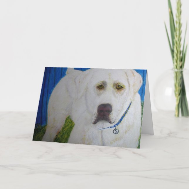 Carte de voeux, Yellow Labrador Retriever (Devant)