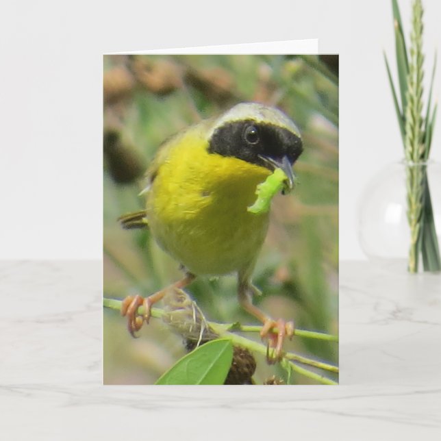 Carte de voeux Yellowthroat (Devant)