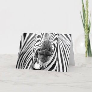 Carte de voeux Zebra #1