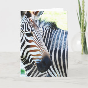 Carte de voeux Zebra Bold