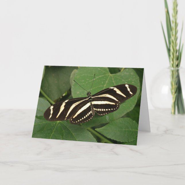 Carte de voeux Zebra Longwing Butterfly (Devant)