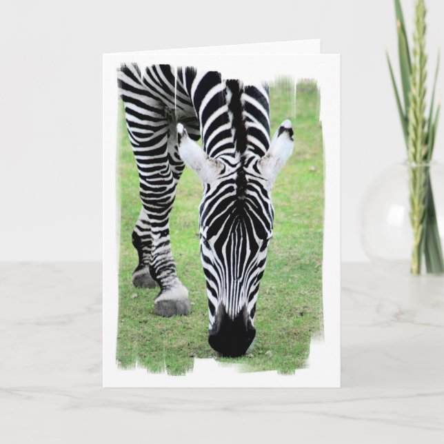 Carte de voeux Zebra Stripes (Devant)