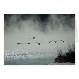 Carte de vol Foggy Morning