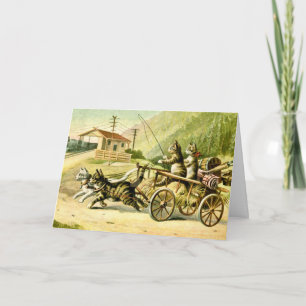 Carte de voyage de chats