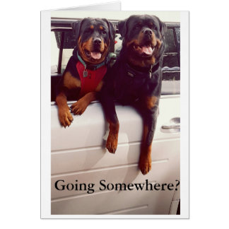 Carte de voyage de fève