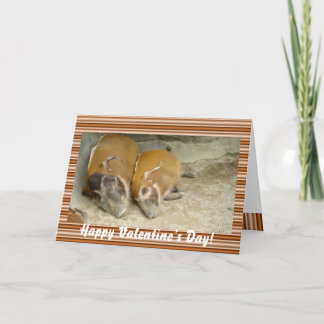 Carte de warthog du day_ de Valentine