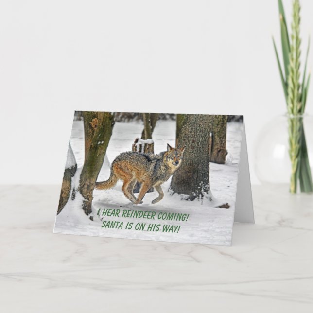 Carte de Wolf Running (Devant)