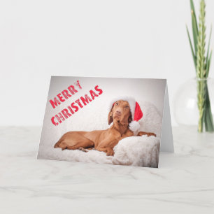 Carte de Xmas / Carte de Christmas "Magyar Vizsla"