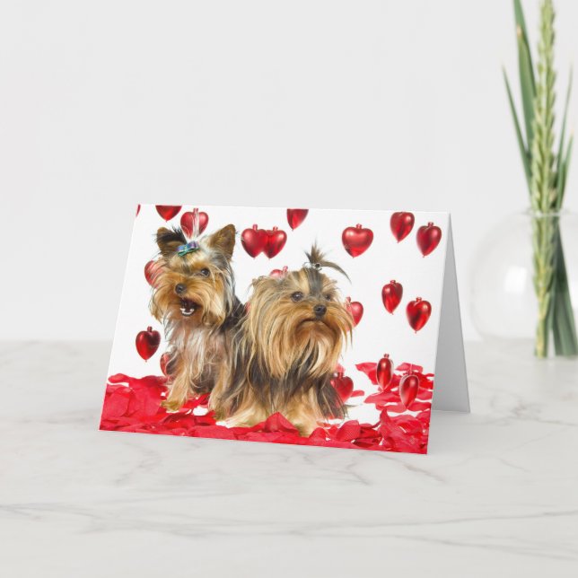 Carte de Yorkie Valentine (Devant)