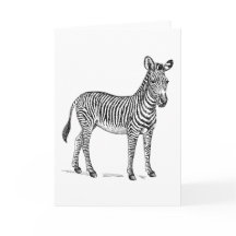 Carte de Zebra Blank Greetings