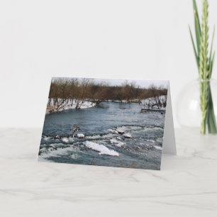 Carte d'eau blanche d'hiver