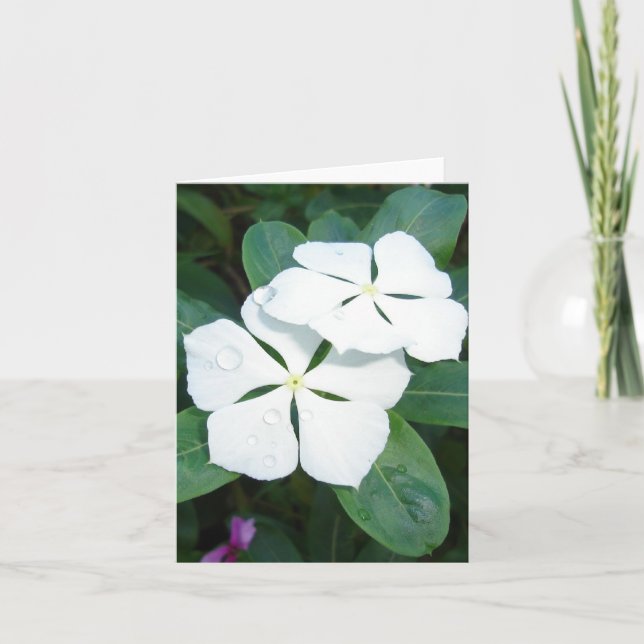 Carte Débordements sur blanc (Devant)