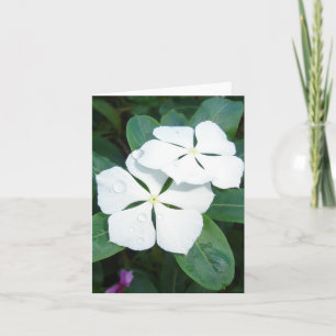 Carte Débordements sur blanc