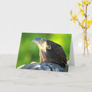 Carte Décorah Aigles du Nord : Lune fleurie