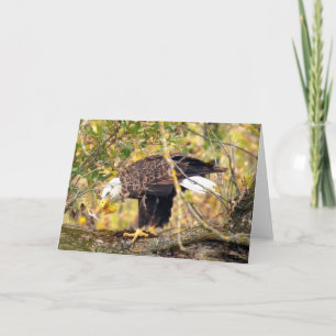 Carte Decorah North Eagles : La lune de récolte