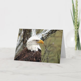 Carte Decorah North Eagles : La Lune des castors