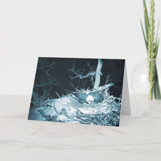 Carte Decorah North Eagles : La Lune des neiges (Devant)