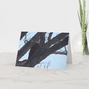 Carte Decorah North Eagles : La Lune du loup