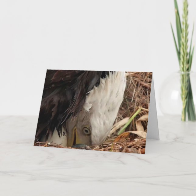 Carte Decorah North Eagles : La Lune du ver (Devant)