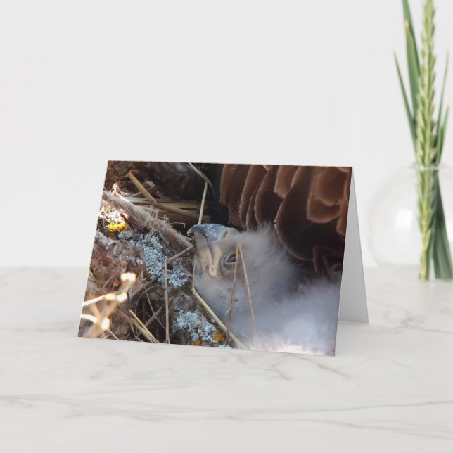 Carte Decorah North Eagles : La Lune Rose (Devant)