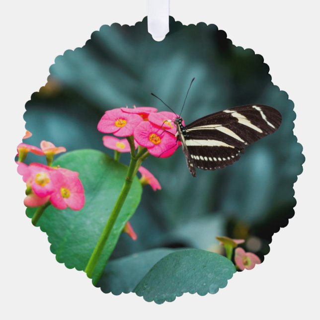 Carte Décorative Beau papillon sur une fleur rose (Recto)