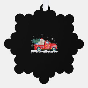 Carte Décorative Bichon Frise Chien de Noël Père Noël Noël