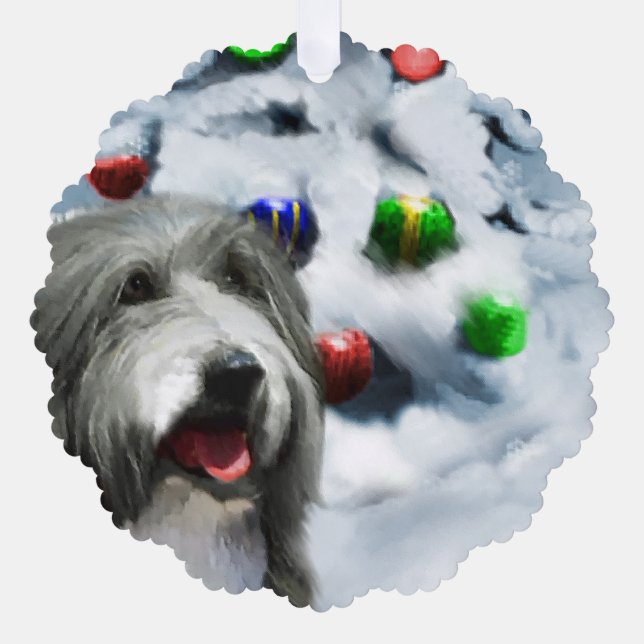 Carte Décorative Cadeaux de Noël de Collie (Recto)
