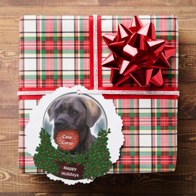 Carte Décorative Canne Corso Noël (Insitu (Cadeau))