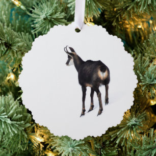 Carte Décorative Chèvre montagneuse minimaliste chamois alpin sur n