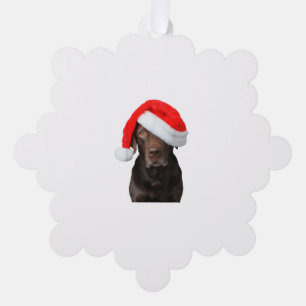 Carte Décorative Chocolat Lab Photo Santa Hat Mignonne Chien Noël