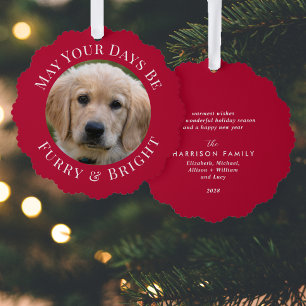 Carte Décorative Christmas Fury Bright Pet Photo Red Holiday