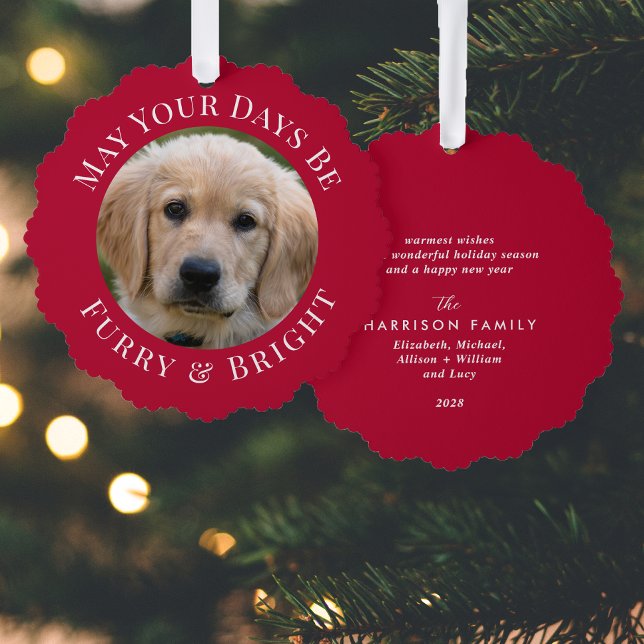 Carte Décorative Christmas Fury Bright Pet Photo Red Holiday (Share the love and warmth of the holiday season with a photo paper ornament card)