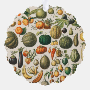 Carte Décorative Illustration scientifique végétale des fruits