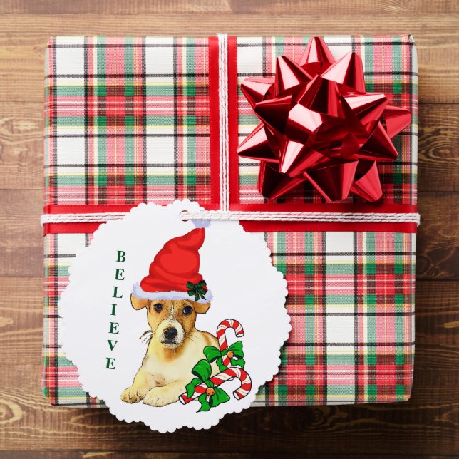 Carte Décorative Jack Russell Terrier Noël (Insitu (Cadeau))
