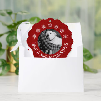Carte Décorative Joli chien avec photo de papa Noël joyeux rouge