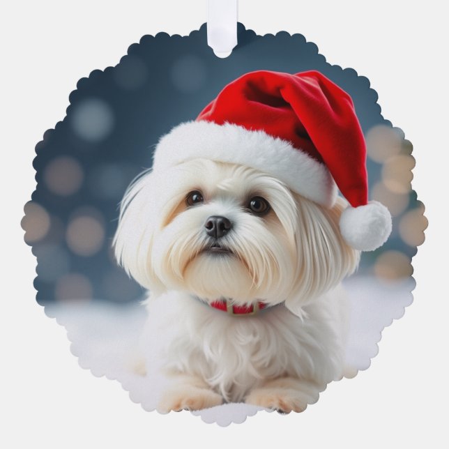 Carte Décorative Maltese Christmas Ornament (Recto)