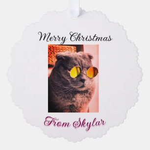 Carte Décorative Merveilleux chien de chat de Noël animal de compag