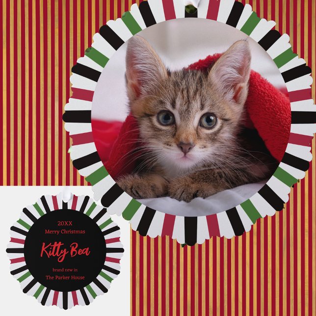 Carte Décorative Nouveau chaton à la maison Noël (Créateur téléchargé)
