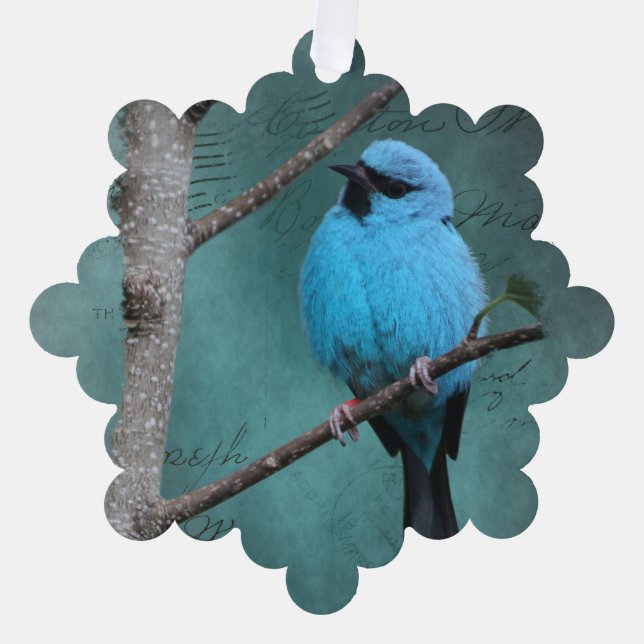 Carte Décorative Oiseau bleu sur une branche en techniques mixtes (Recto)