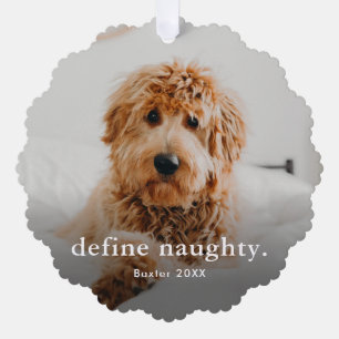 Carte Décorative Photo de vacances de Noël Funny Pet 2