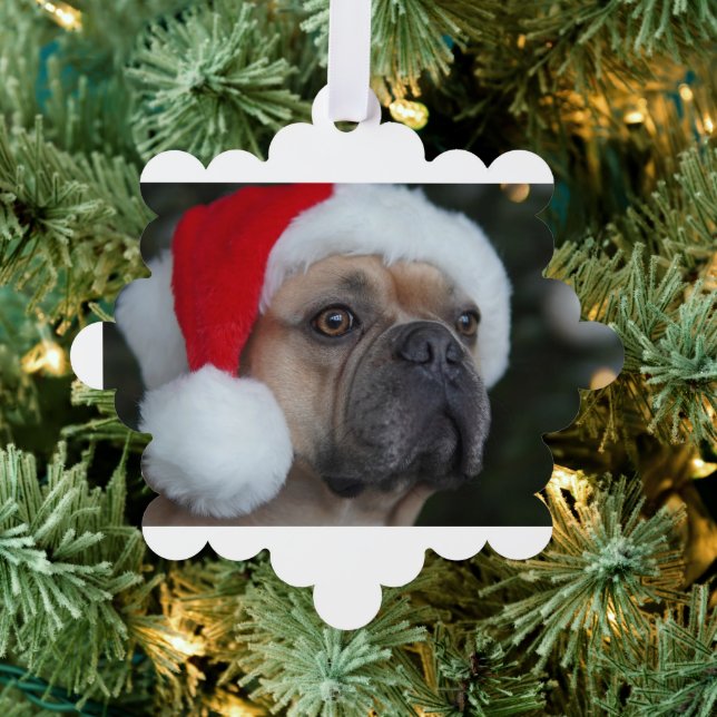 Carte Décorative Super bon marché cadeau de Noël photo personnalisé (Insitu (Arbre))